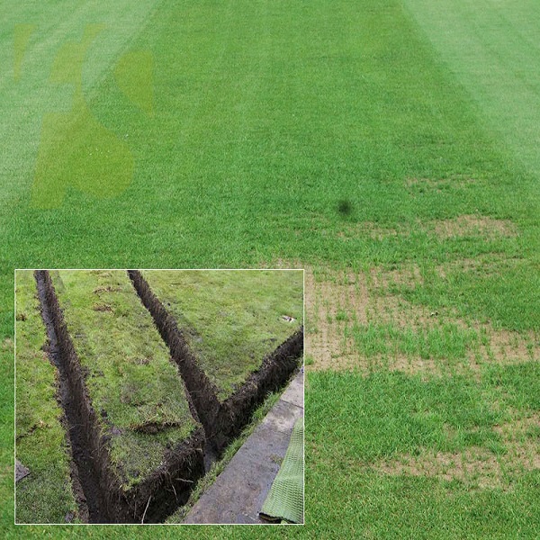 project-cricket-2